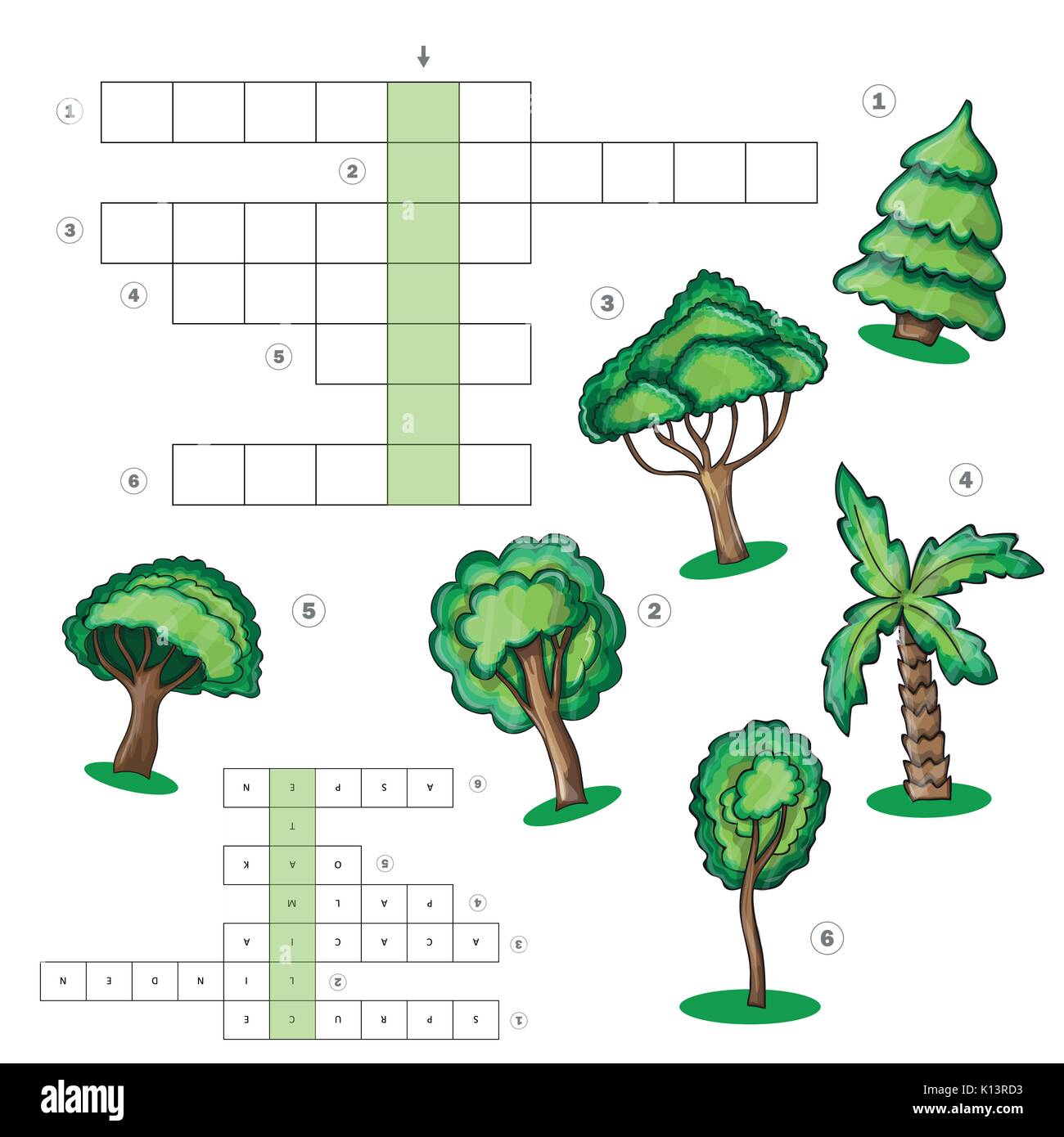 Puzzle fr Kinder Blatt - Kreuzwortrtsel mit Bumen - Lernspiel,  Kreuzwortrtsel fr Kinder. Vokabeln lernen Stock-Vektorgrafik - Alamy
