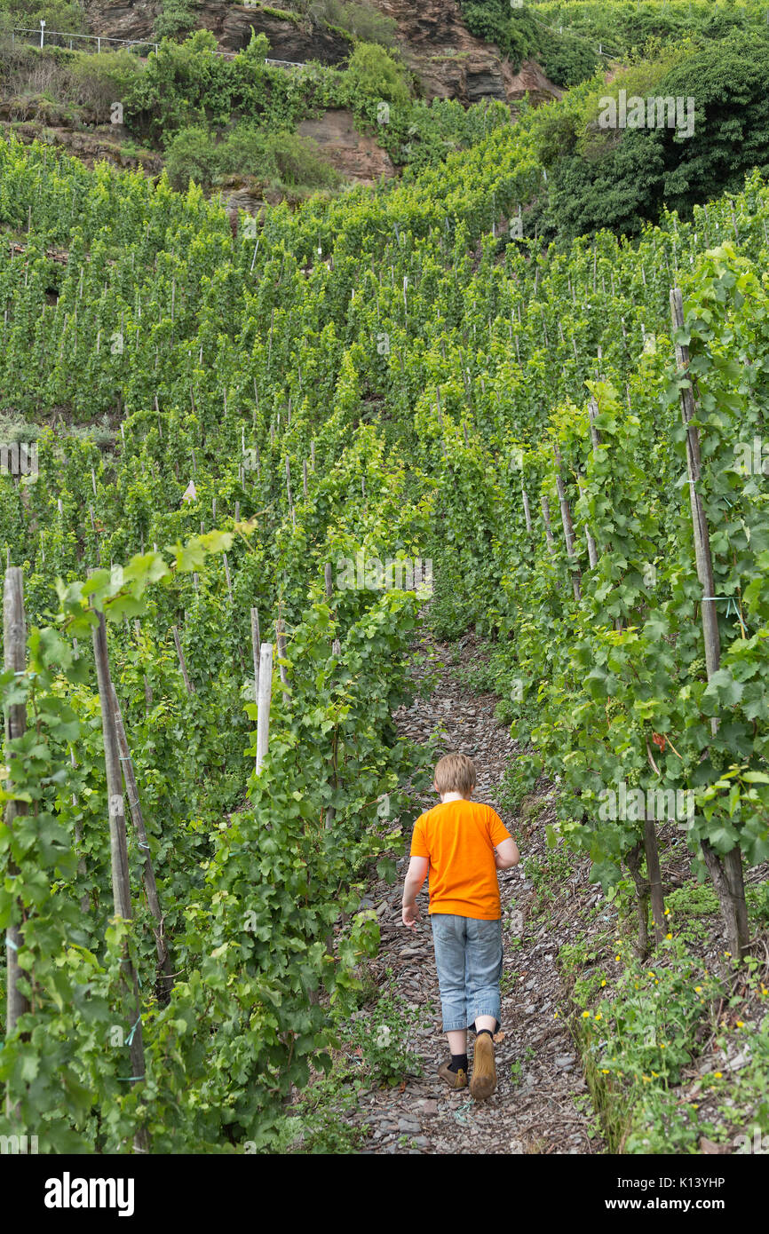 Junge auf Klettersteig, Uerzig, Mosel, Rheinland-Pfalz, Deutschland Stockfoto