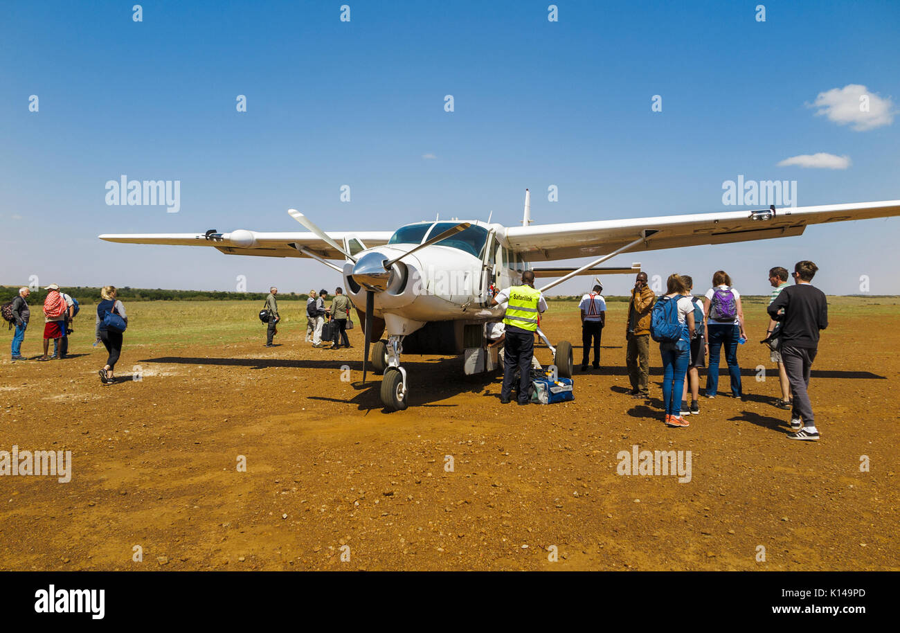 Safarilink leichte Flugzeuge landeten auf einer Landebahn in der Masai Mara, Kenia Safari Touristen Entladen von Gepäck und Handgepäck Stockfoto