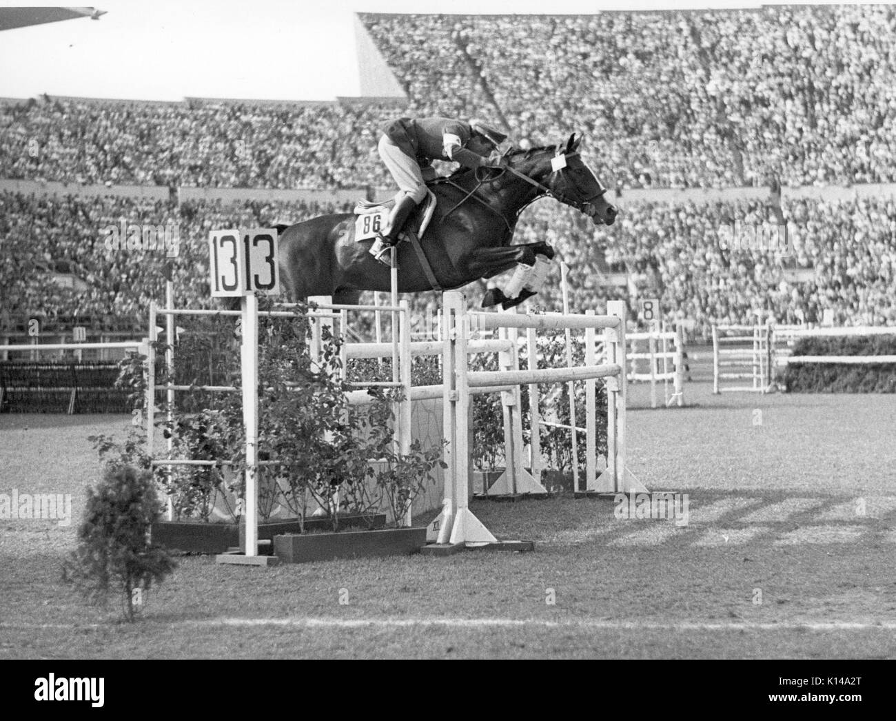 Olympischen Spiele, Helsinki 1952, Raimondo d'Inzeo, Italien reiten Litargirio Stockfoto