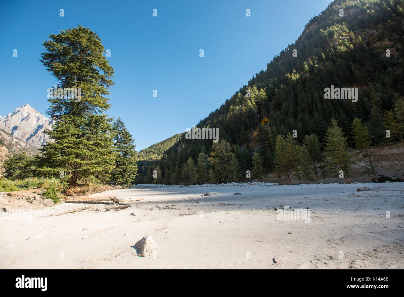 Sangla Valley in Kinnaur in Himachal Pradesh in Indien os einem schönen Tal, reich an Wildtieren und eine einfache Himalayan lokaler Kultur. Stockfoto