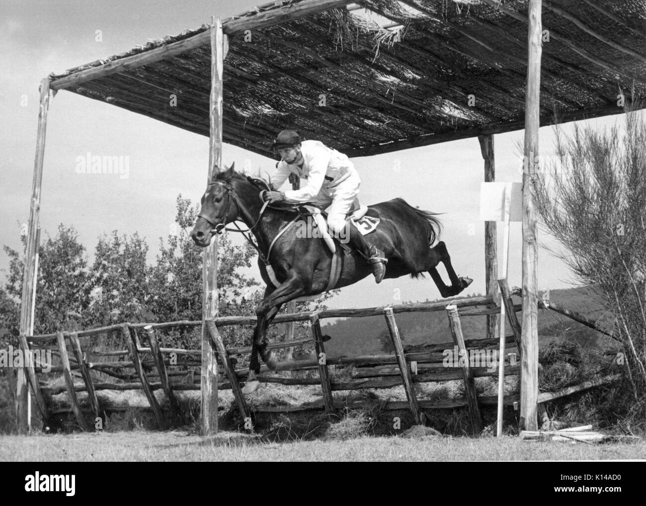 Olympische Spiele, Rom 1960 Edward Harty (IRE), Harlekin Stockfoto