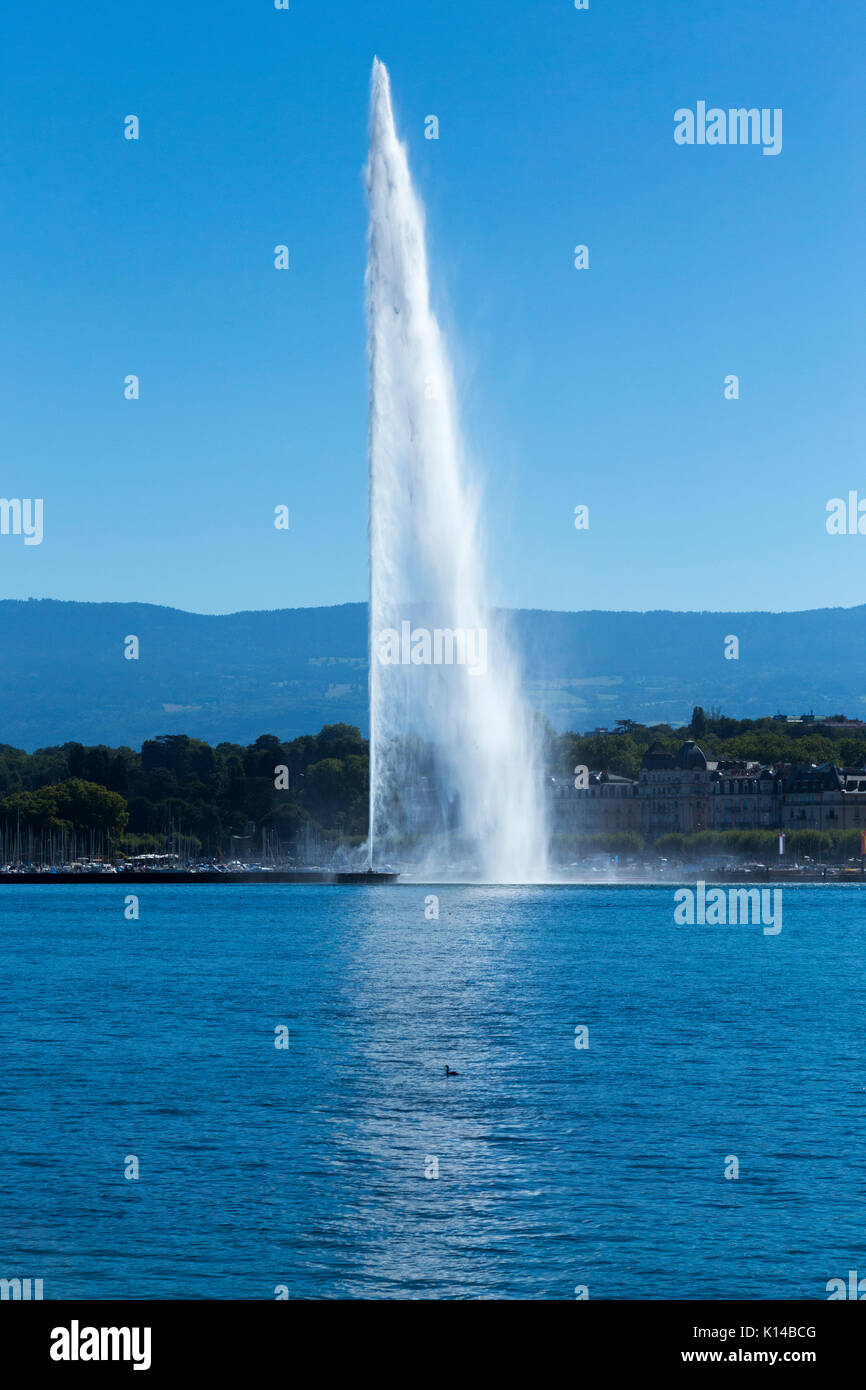 Der Brunnen/Jet d'Eau auf dem Schweizer See, Genfer See/Lac Léman/Lac Léman, bei Genf/Geneve, Schweiz. An einem sonnigen Tag mit blauen Himmel/Wolken Stockfoto