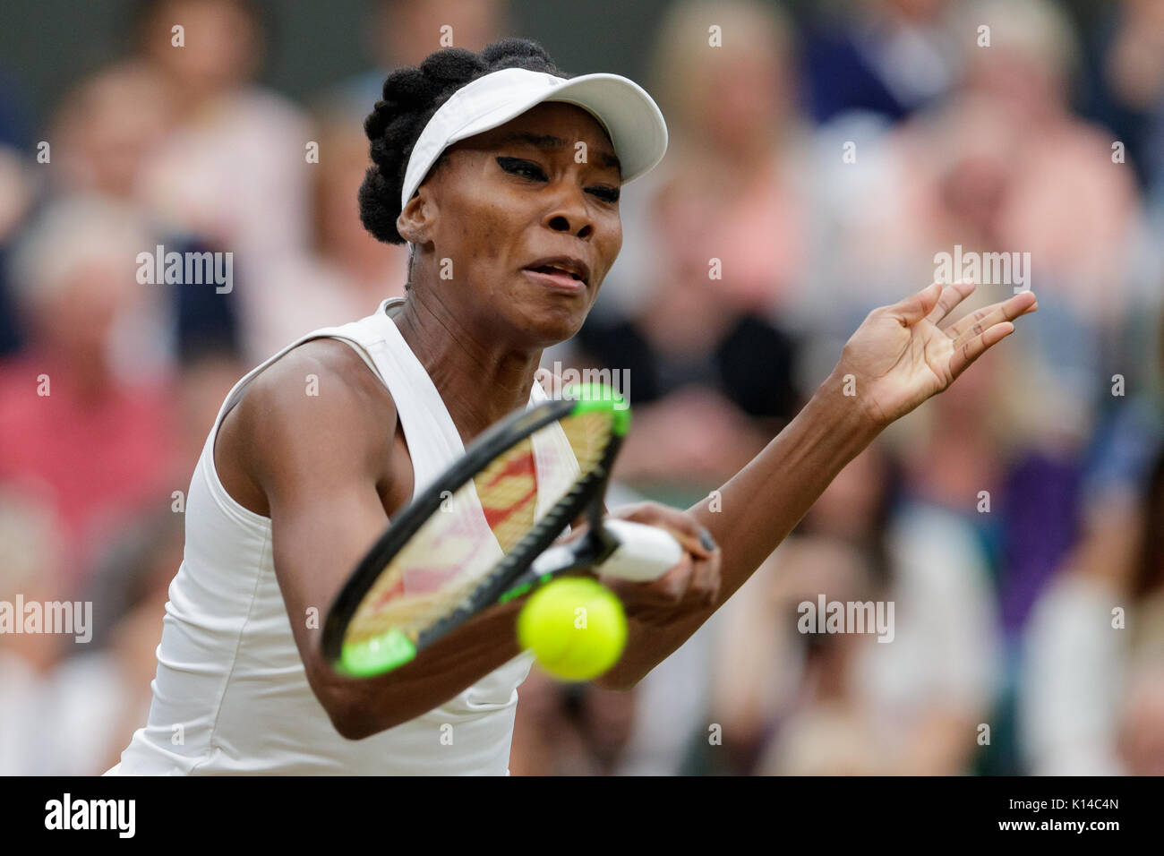 Venus Williams aus den USA an der Wimbledon Championships 2017 Stockfoto