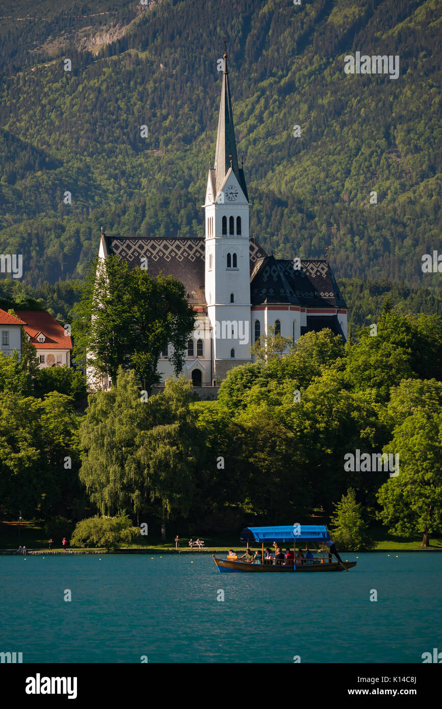 Die Kirche St. Martin in Bled, Slowenien Stockfoto