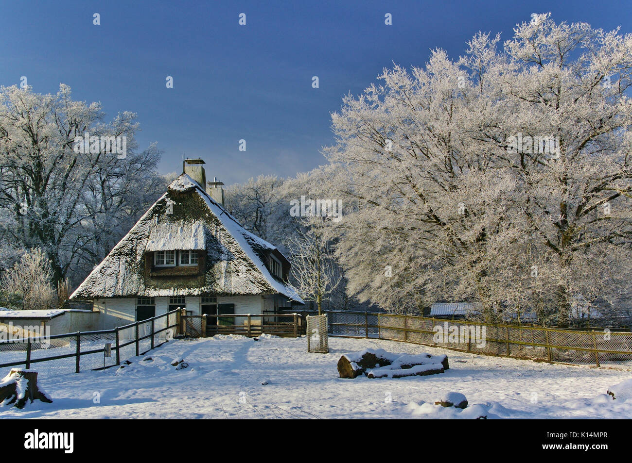 Verschneite Bauernhaus in den Abend mit Bäumen vor einem blauen Himmel Stockfoto