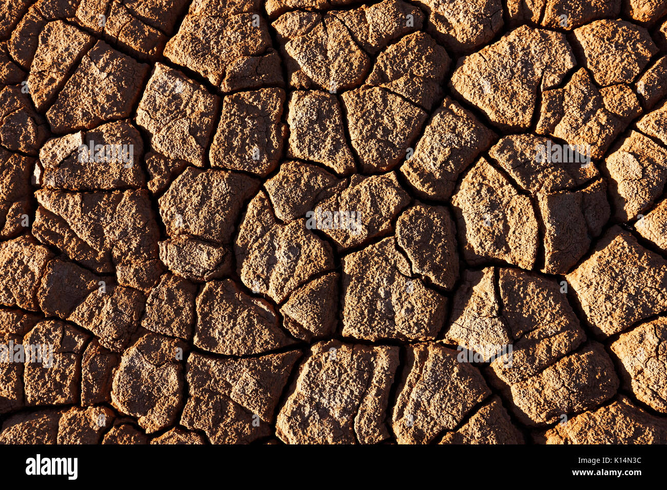 In der Nähe von trockenen Ton, Meekathara, Murchison, Western Australia Stockfoto