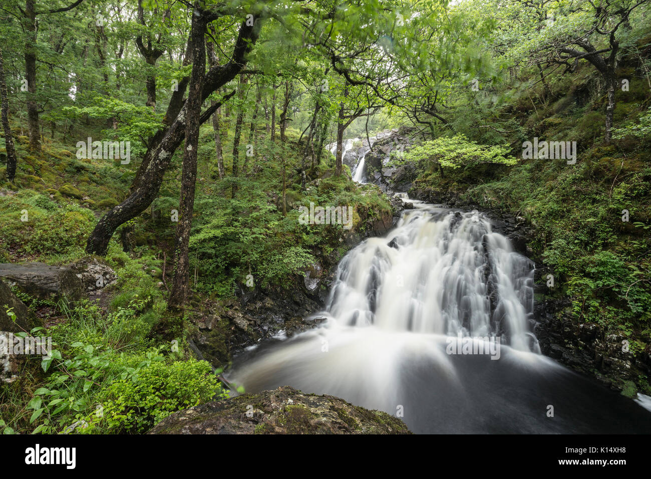 Ddu rhaeadr Wasserfällen, Ganllwydd, Coed Ganllwydd National Nature Reserve, Snowdonia National Park, Gwynedd, Wales, Großbritannien Stockfoto