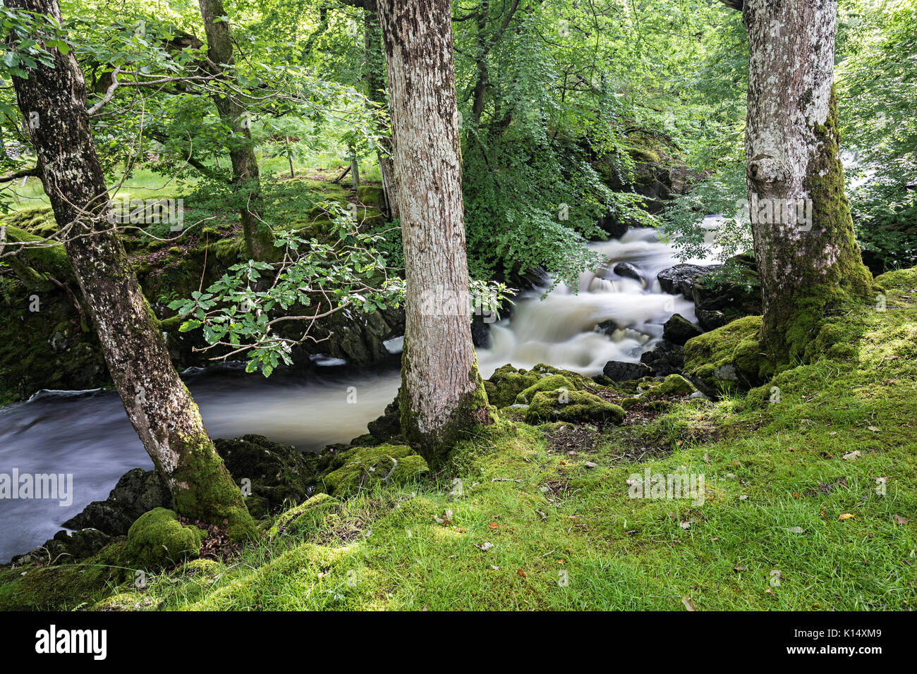 Ddu rhaeadr Wasserfällen, Ganllwydd, Coed Ganllwydd National Nature Reserve, Snowdonia National Park, Gwynedd, Wales, Großbritannien Stockfoto