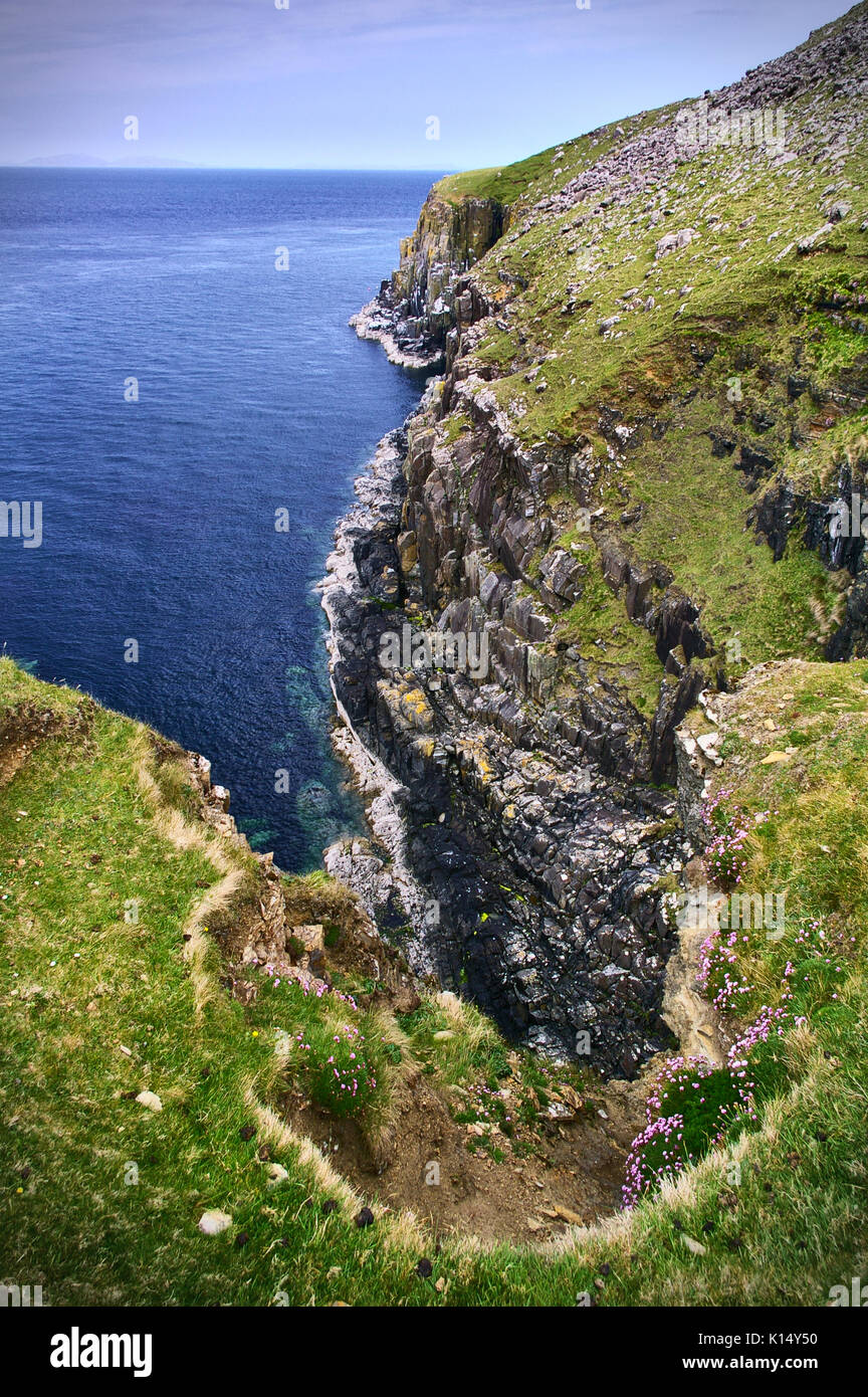 Felsige Klippe mit Gras und wilden Blumen über dem Atlantik Stockfoto