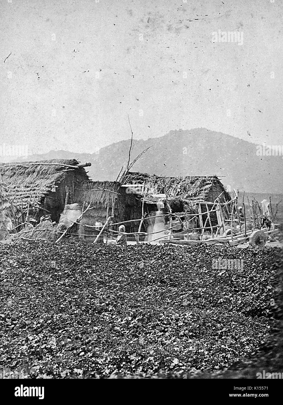 Temecula indischen Hütten, 1900. Stockfoto