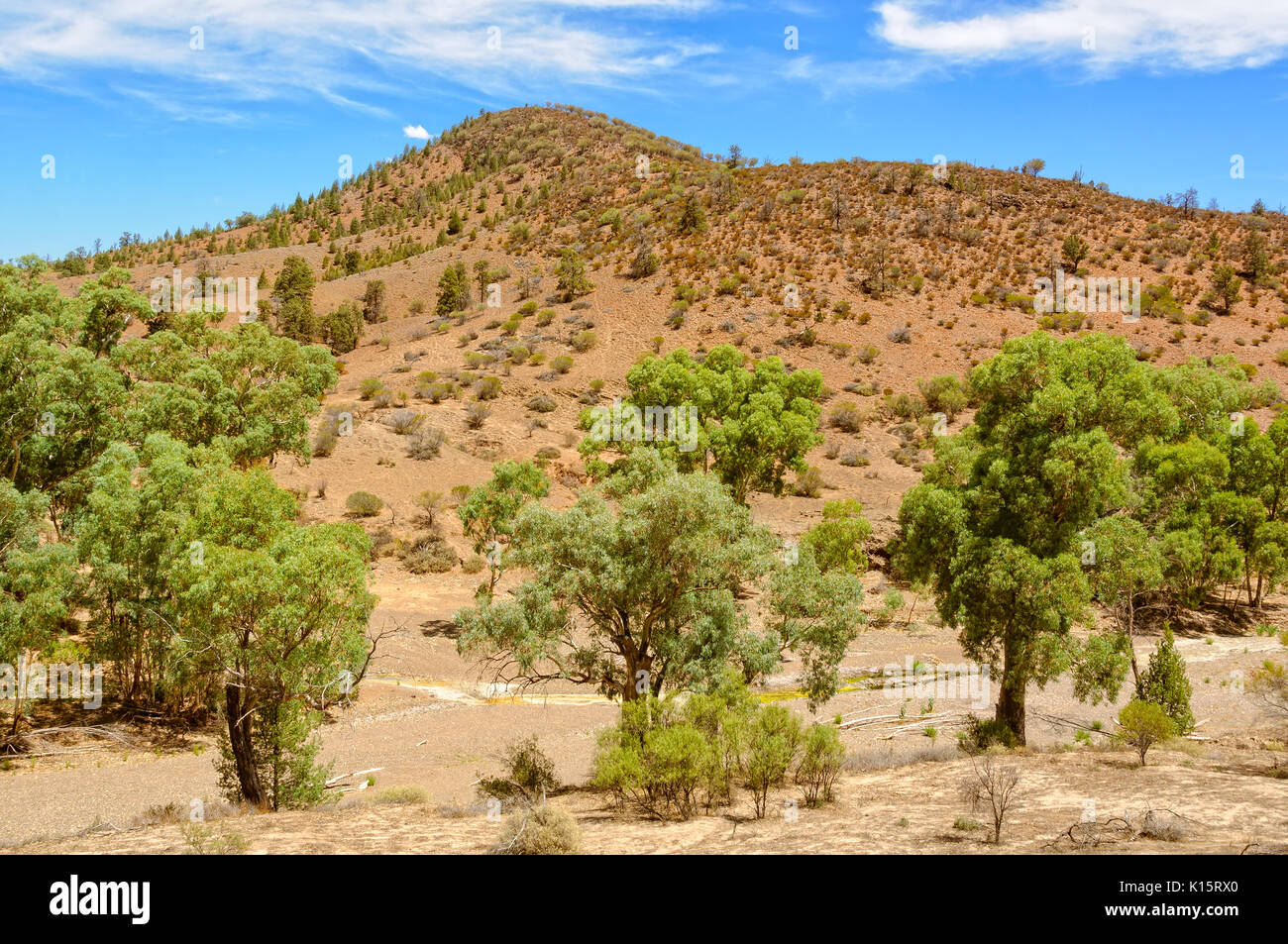 Dry Creek Bed in Wilpena Pound - Flinders Ranges, SA, Australien Stockfoto