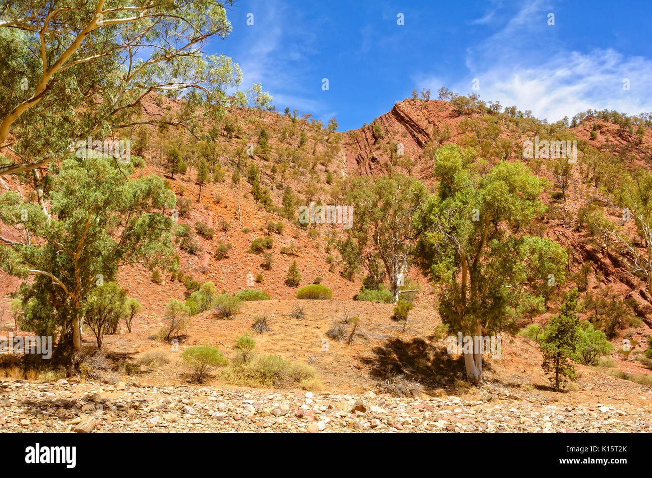 Brachina Gorge in Wilpena Pound - Flinders Ranges, SA, Australien Stockfoto