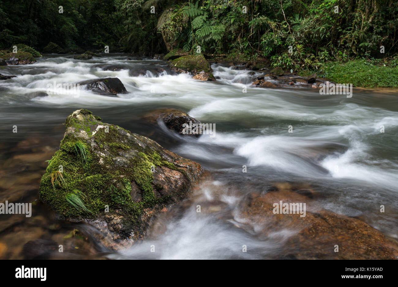 Ein Fluss im Atlantischen Regenwald von Serra de paranapiacaba Stockfoto