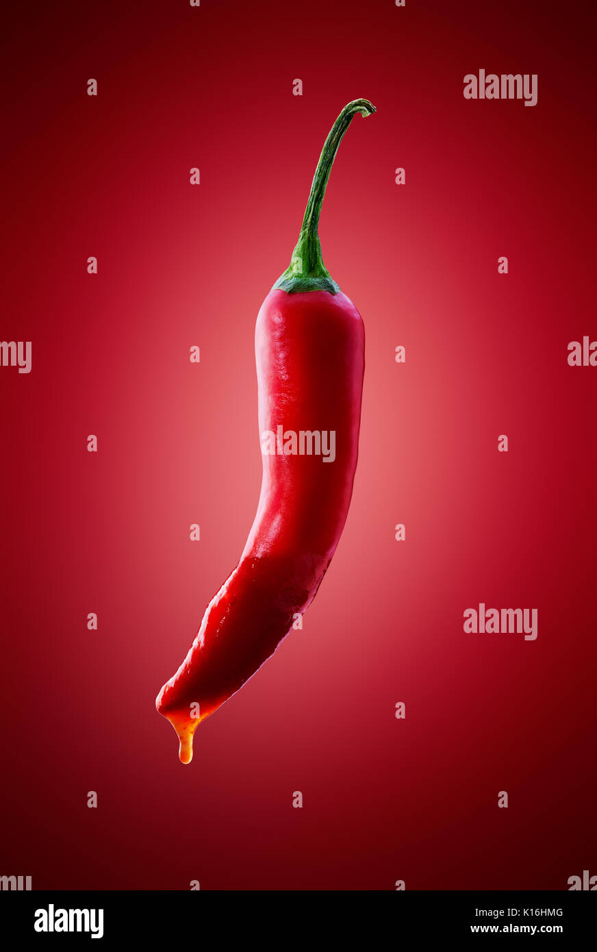 Red Chili Pfeffer mit Hot Chili Sauce tropft auf verlaufshintergrund Stockfoto