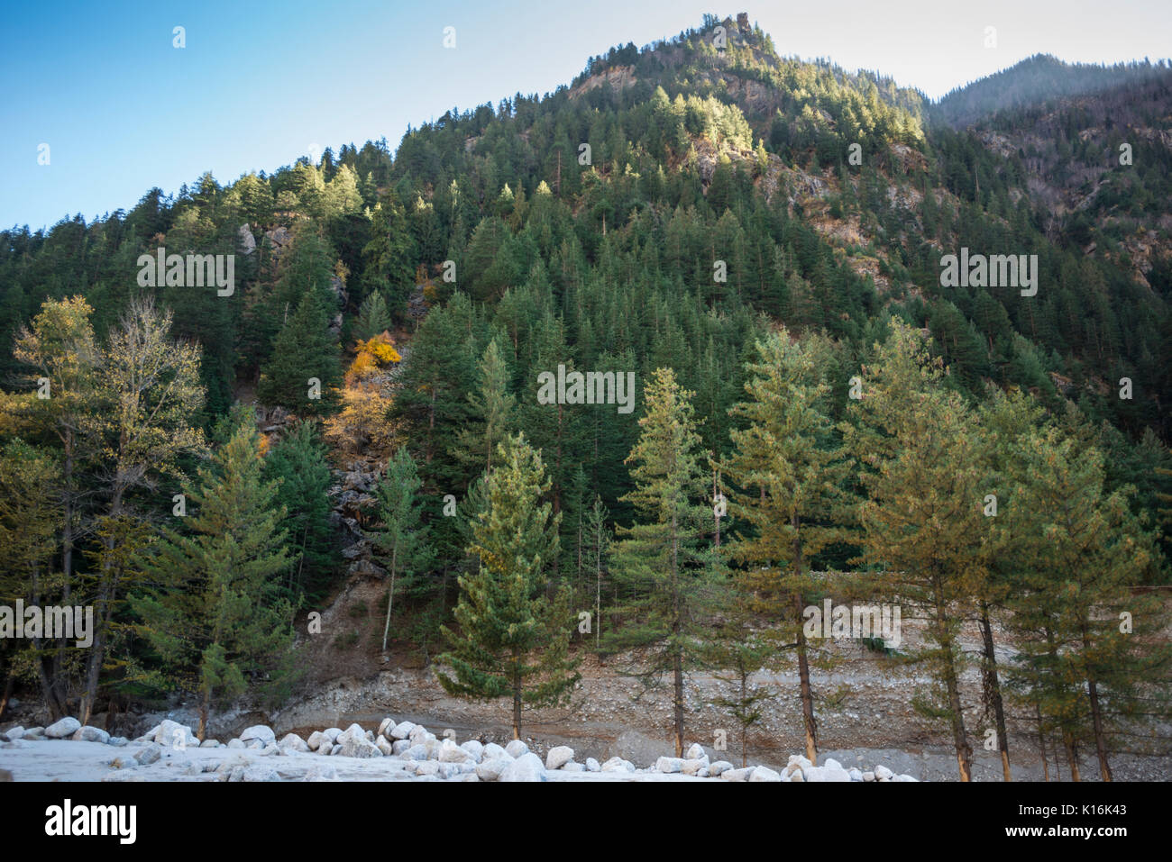 Sangla Valley in Kinnaur in Himachal Pradesh in Indien os einem schönen Tal, reich an Wildtieren und eine einfache Himalayan lokaler Kultur. Stockfoto