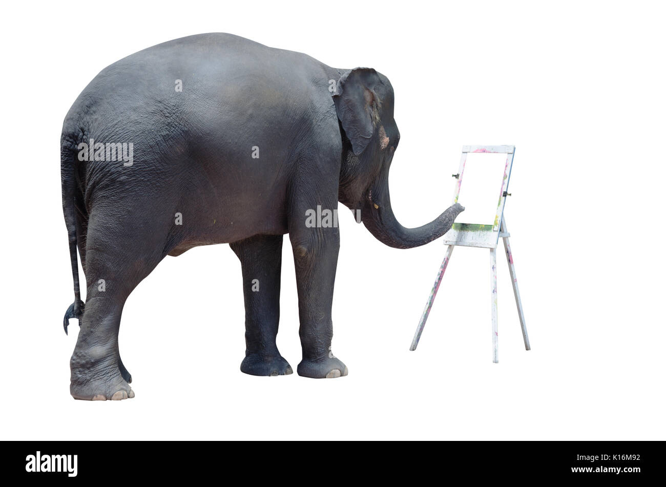 Elephant coloring zeigen auf einem weißen Hintergrund. Stockfoto