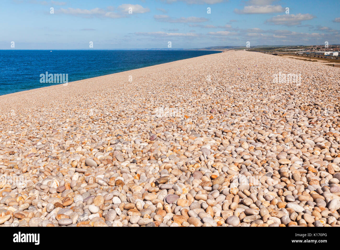 Einige der Steine von Chesil Beach, Dorset, England, UK, die für 18 Kilometer erstreckt. Stockfoto