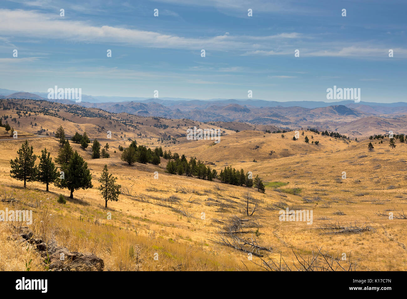 Bergige Landschaft rollling Hügeln in der hohen Wüste Central Oregon Stockfoto