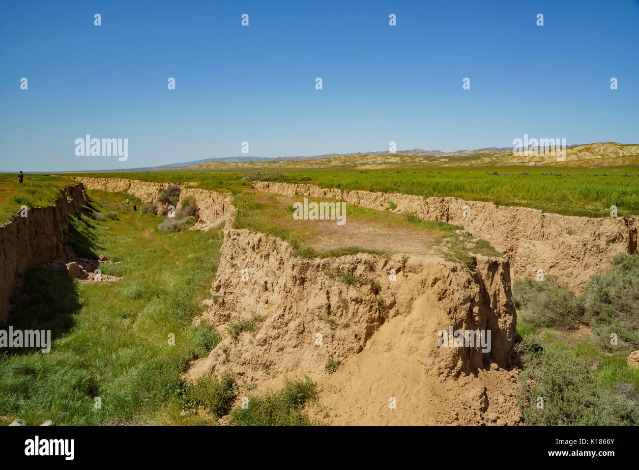 Felsen in Carrizo Plain National Monument, Kalifornien, USA Stockfoto