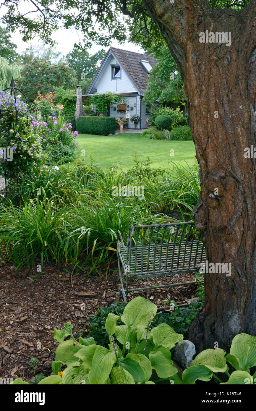 Garten mit mehrjähriger Betten und Rasen. Design: Marianne und Detlef lüdke Stockfoto