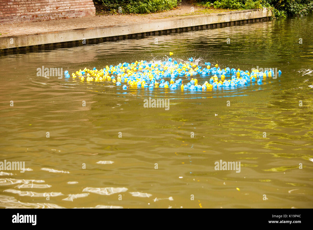 Newbury Wasserstraßen festival Duck Race Stockfoto