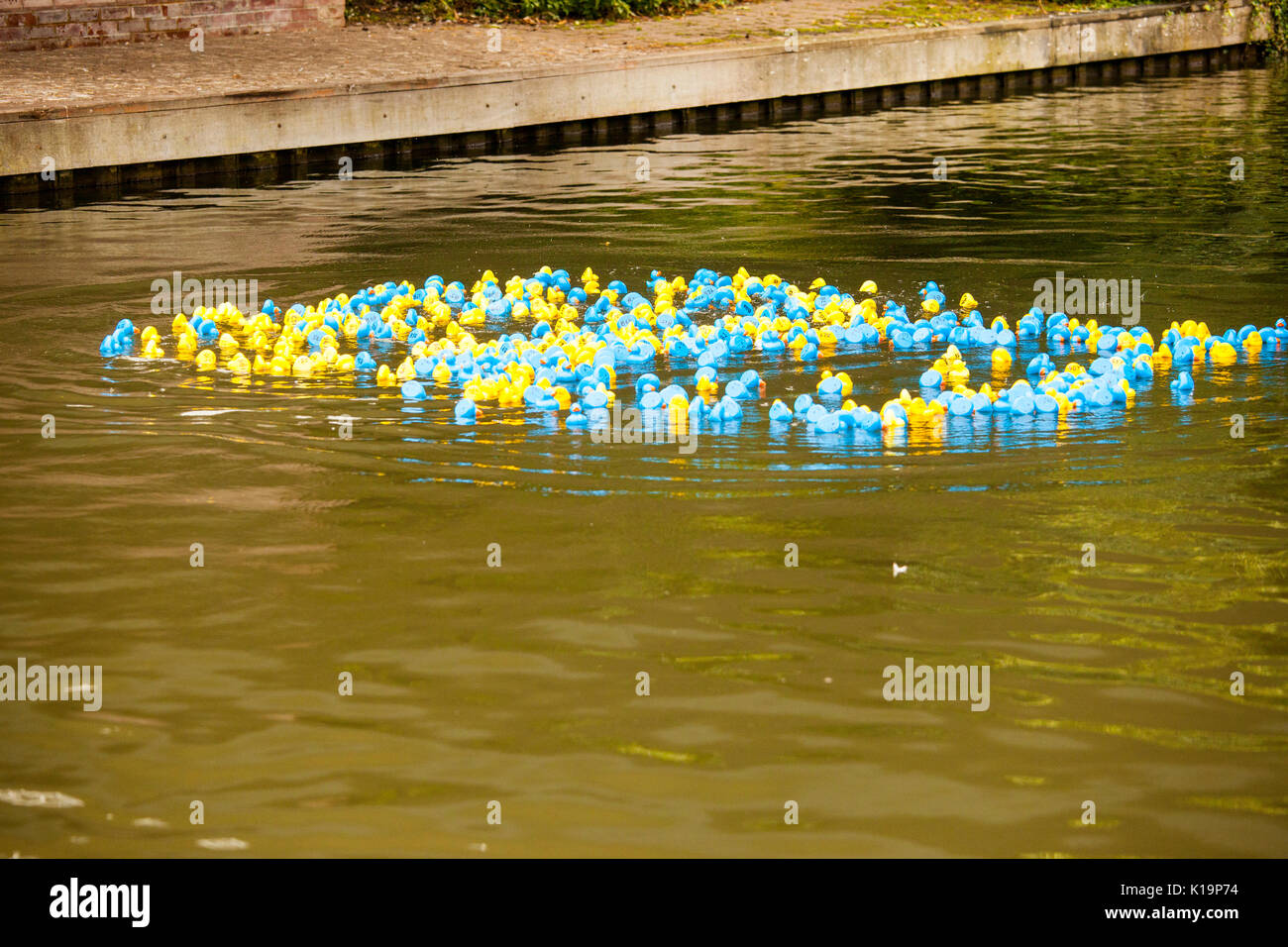 Newbury Wasserstraßen festival Duck Race Stockfoto