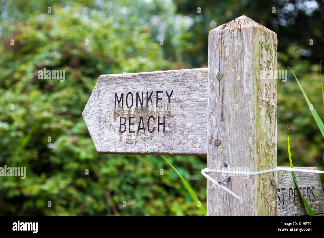 Holz- Hinweisschild zum Monkey Beach, mersea Island, Essex, Großbritannien Stockfoto