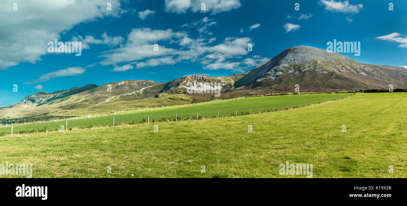 Berg Croagh Patrick in Irland Stockfoto