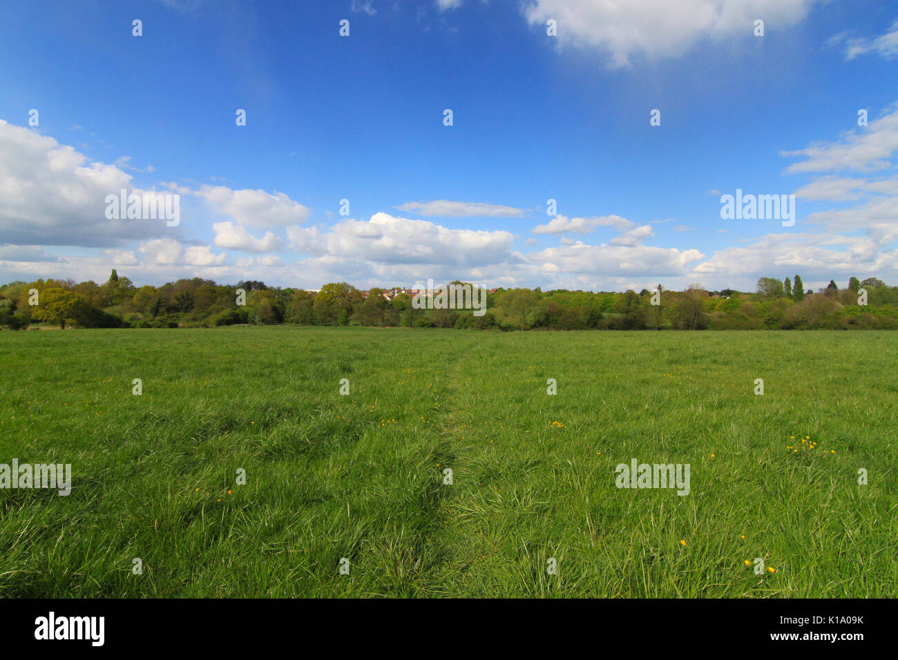 Die britische grüne Feld mit lovey Sommerhimmel, England. Stockfoto