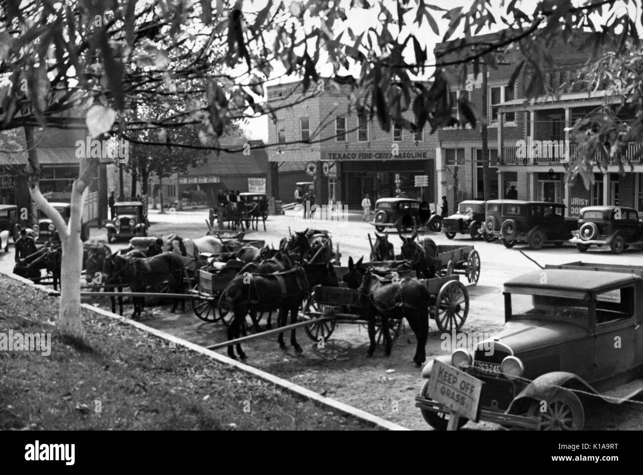 Eine Stadt, die Plaza ist mit Mannschaften der Pferde ziehen wagen beringt, mit zusätzlichen Pferde hitched auf eine Wand und geparkte Autos sichtbar wie Menschen unternehmerisches Verhalten in der Stadt, Camden, Tennessee, 1935. Von der New York Public Library. Stockfoto