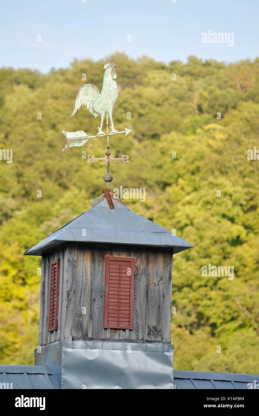 Hahn Wetterfahne auf der Oberseite der Kuppel aus einer Scheune bei DreamAcres Bauernhof im Sommer, im ländlichen Minnesota, USA. Stockfoto