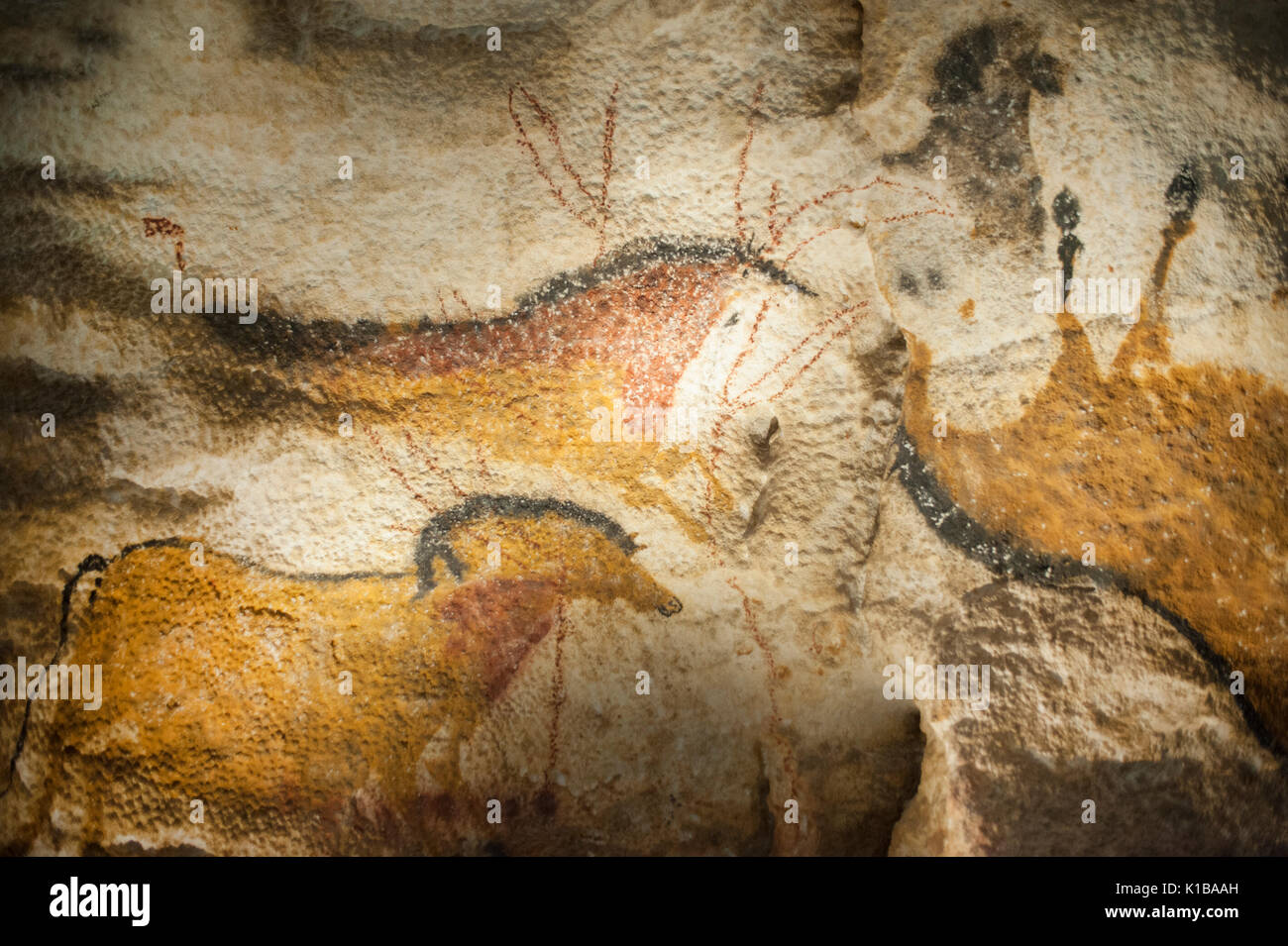 Prähistorischen Höhlenmalereien von wildes Pferd, (Dun horse), Lascaux IV Höhlen, Perigord, Montignac, Dordogne, Frankreich Stockfoto