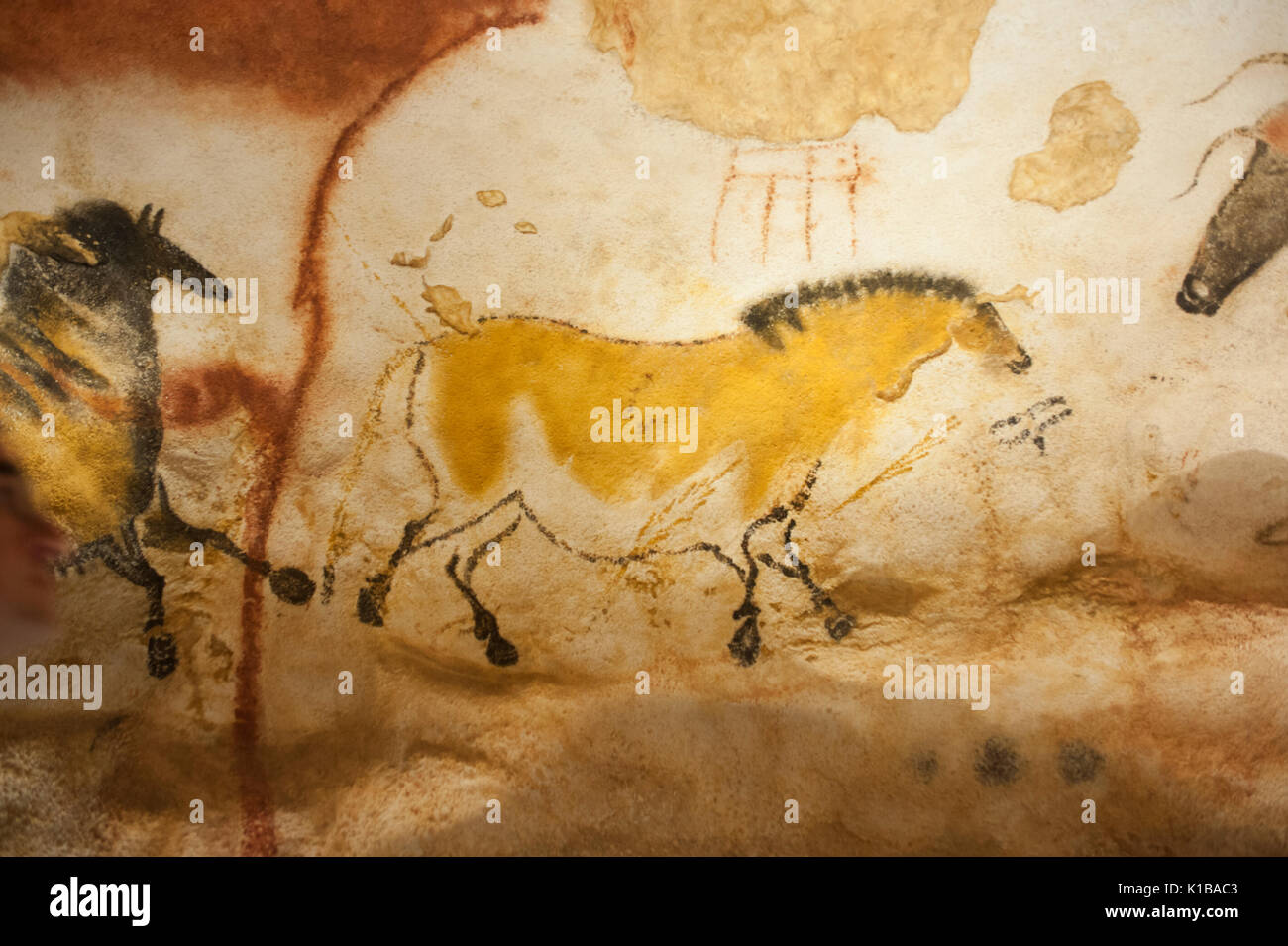 Prähistorischen Höhlenmalereien von wildes Pferd, (Dun horse), Lascaux IV Höhlen, Perigord, Montignac, Dordogne, Frankreich Stockfoto