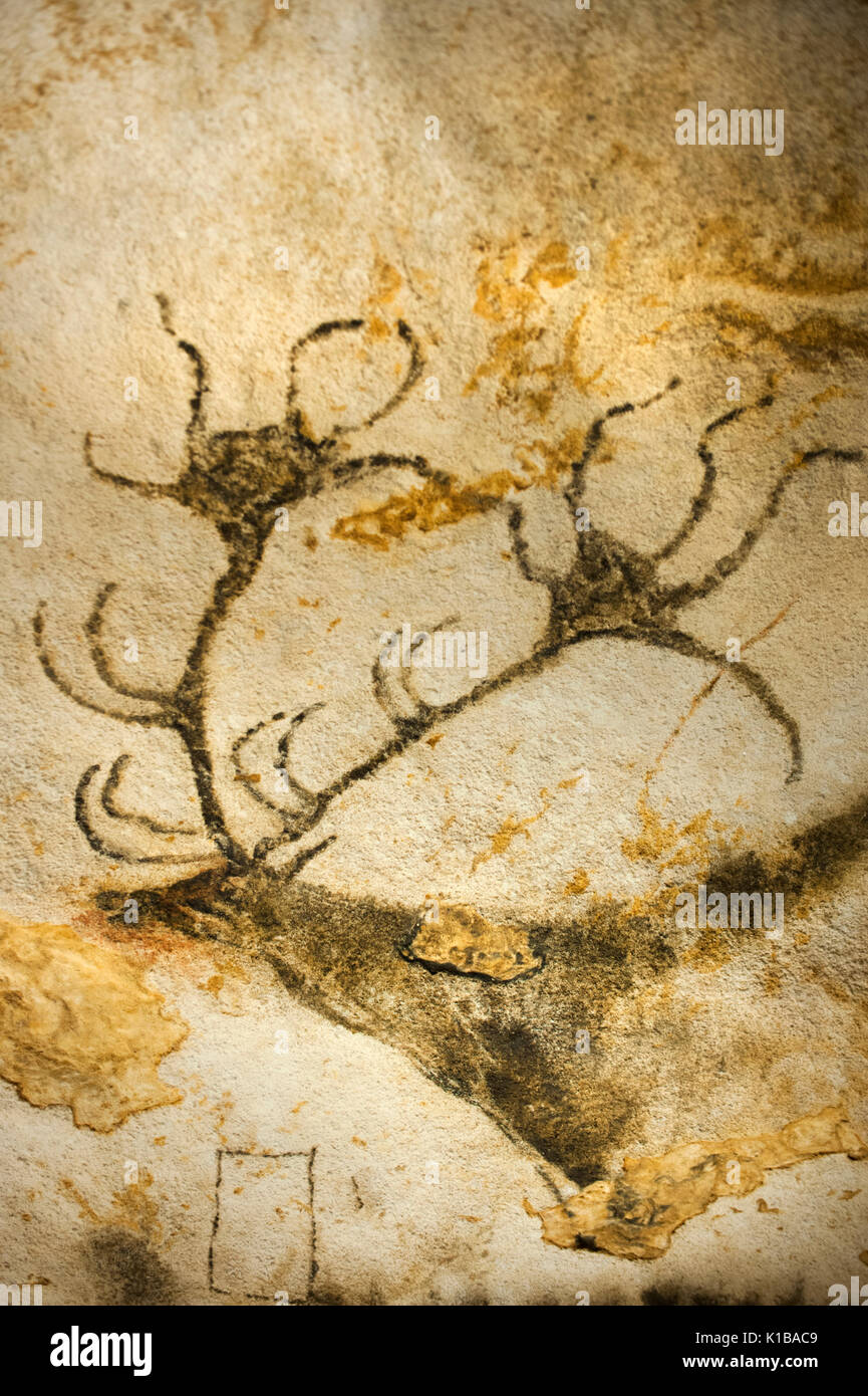 Prähistorischen Höhlenmalereien der Hirsche, Red Deer (Cervus elaphus), Lascaux IV Höhlen, Perigord, Montignac, Dordogne, Frankreich Stockfoto