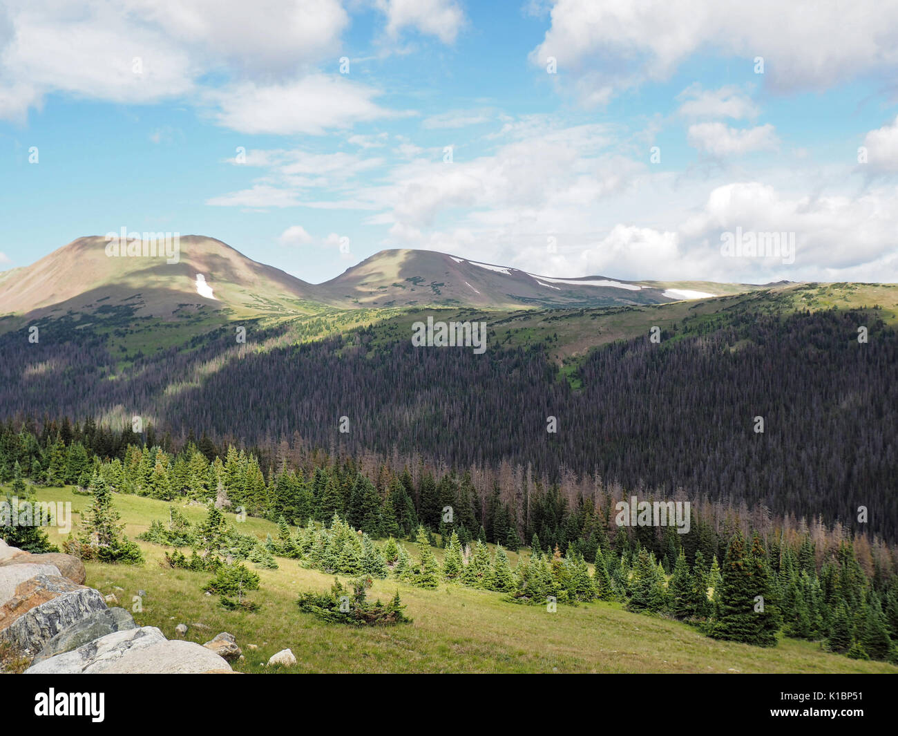 Sommer in den Rocky Mountains National Park in Colorado. Overhead ist ein blauer Himmel mit weißen Wolken Puffy. Stockfoto