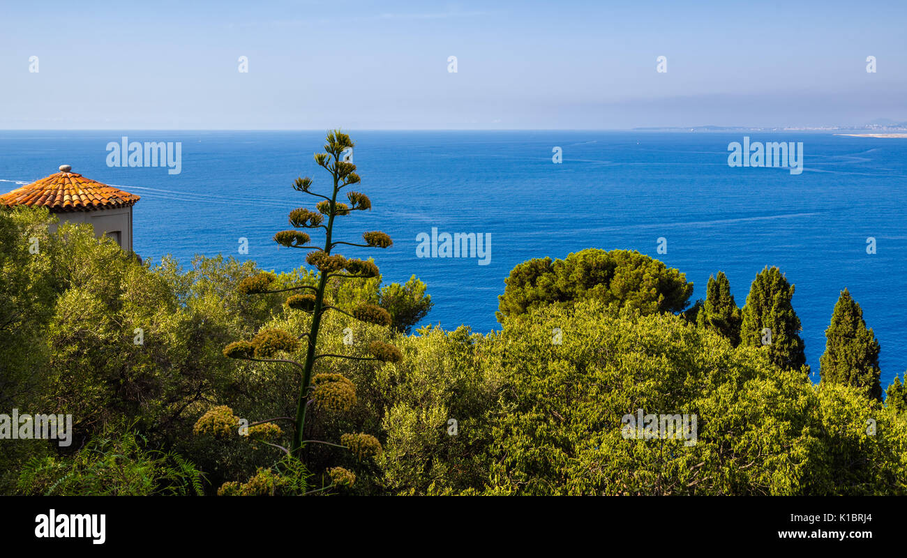 Mittelmeer und Bäume in Nizza. Panoramablick auf die erhöhten Blick auf die Französische Riviera, Cote d'Azur, Alpes Maritimes, Frankreich Stockfoto