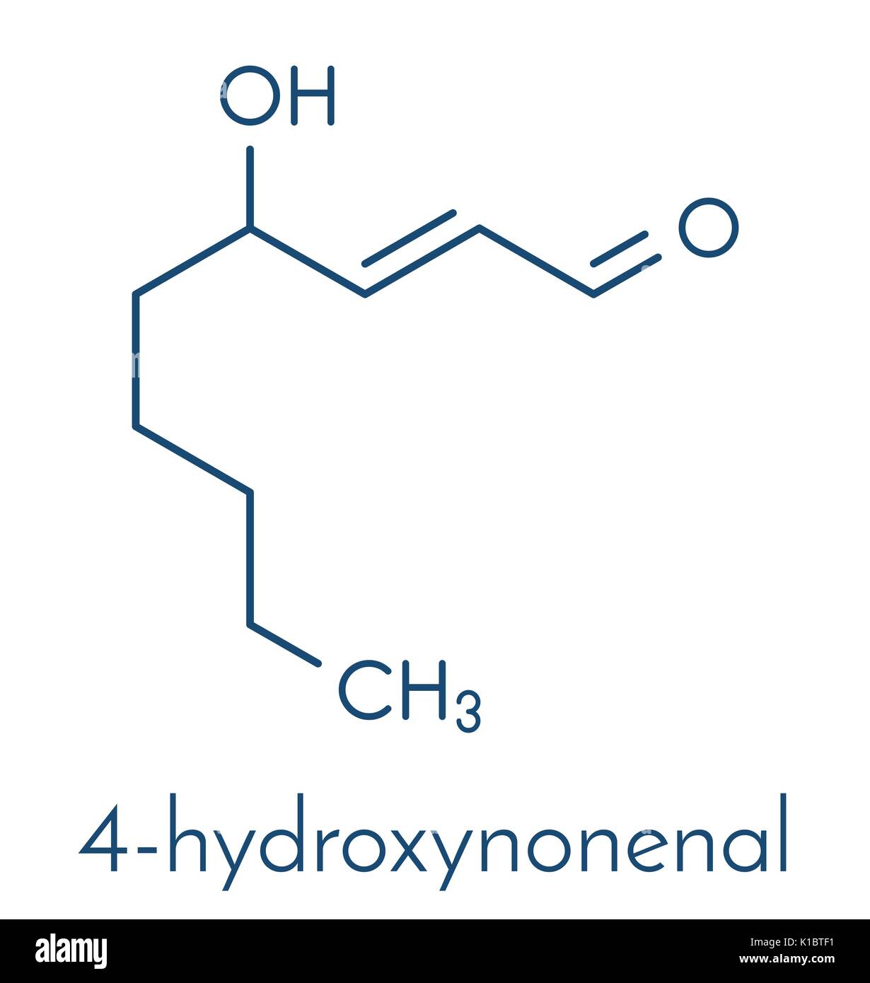 4-Hydroxynonenal (HNE) Molekül. Metaboliten durch Lipidperoxidation von mehrfach ungesättigten Omega-6-Fettsäuren produziert. Skelettmuskulatur Formel. Stock Vektor