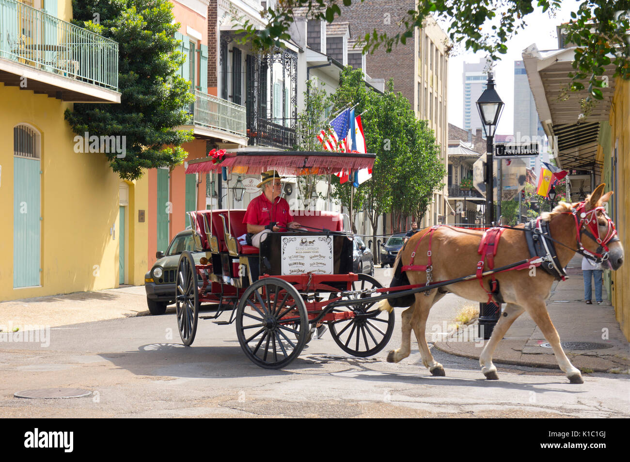 Pferd & Buggy fahren im French Quarter in New Orleans, LA. Stockfoto