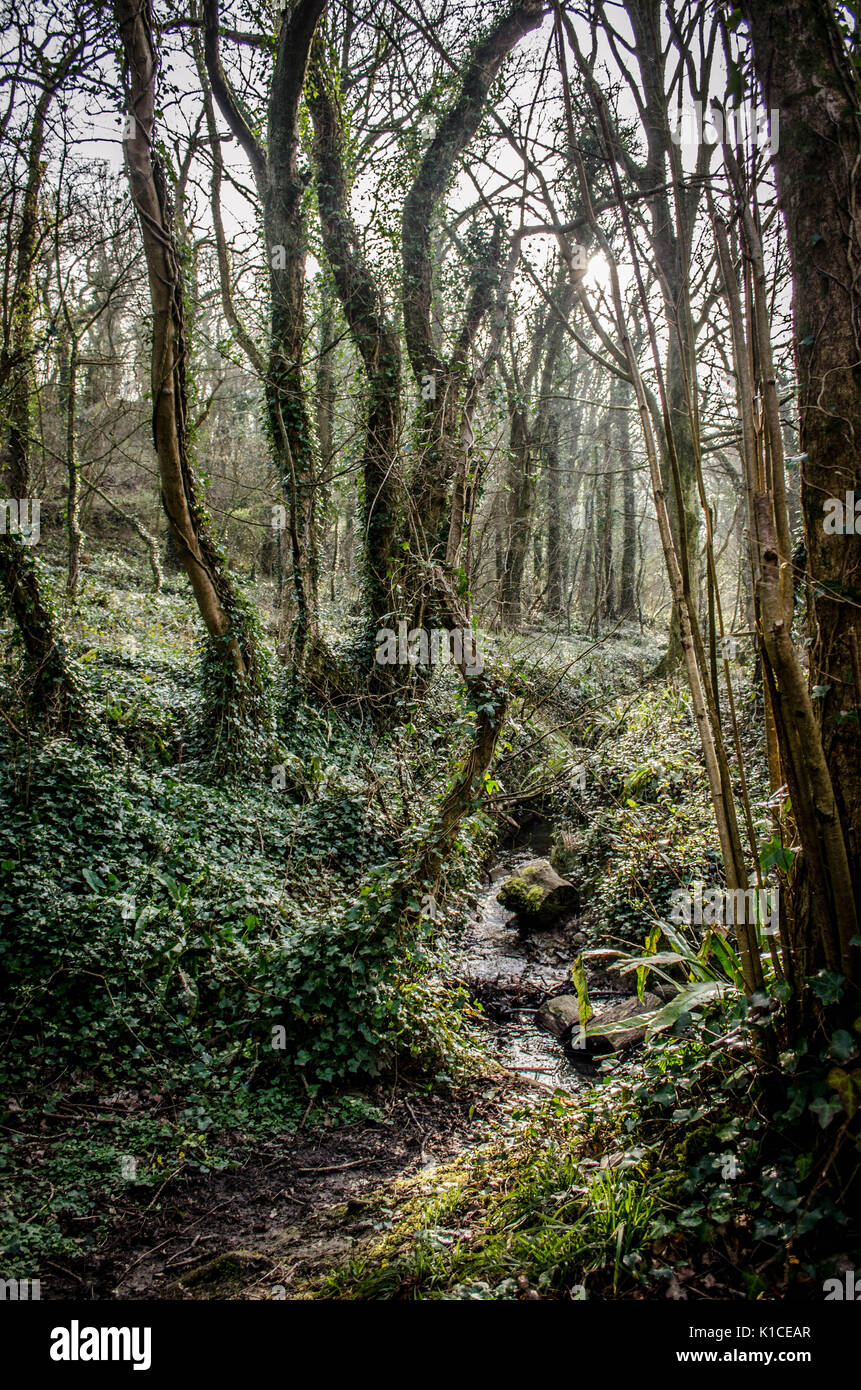 Porthkerry Country Park in Barry, Vale von Glamorgan, Wales. Stockfoto