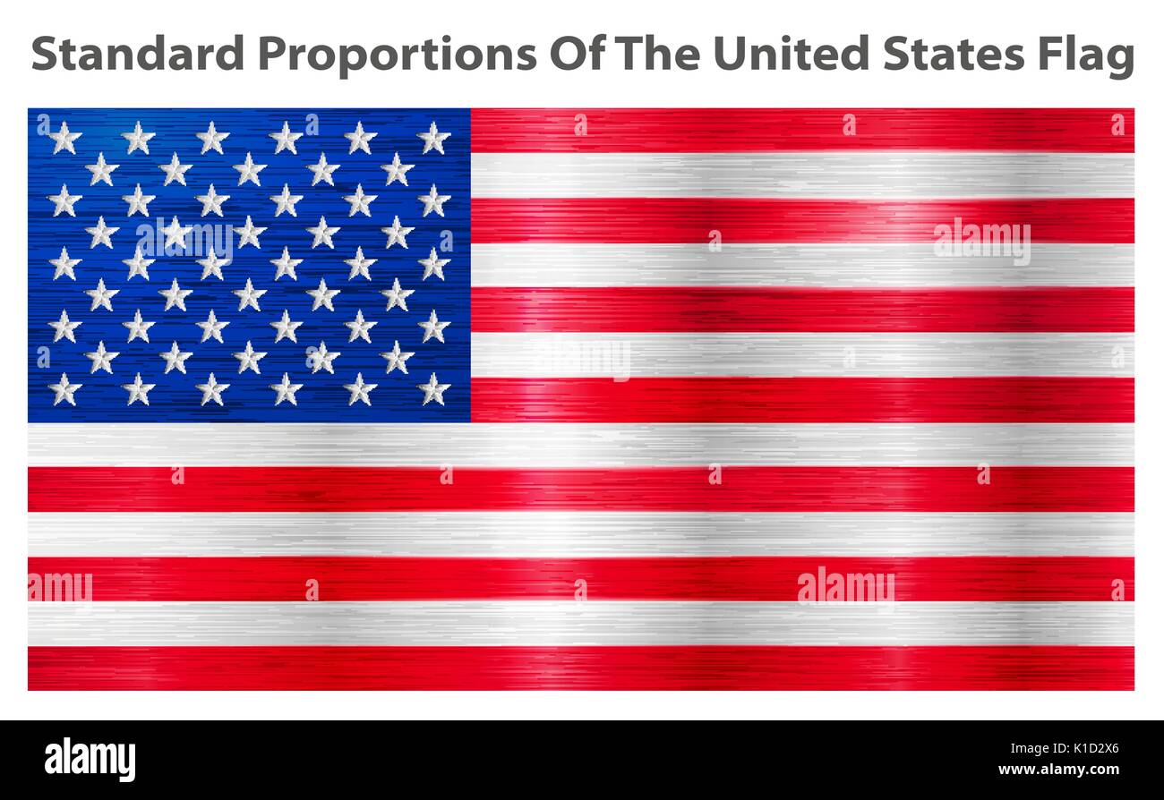 Vektor Bild der amerikanischen Flagge Stock Vektor