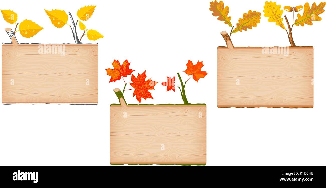 Satz von drei natürlichen strukturierte Holz- rechteckiges Schild mit rot gelb Birke, Ahorn und braune Eiche Herbst anmelden Blätter Vector Illustration Stock Vektor