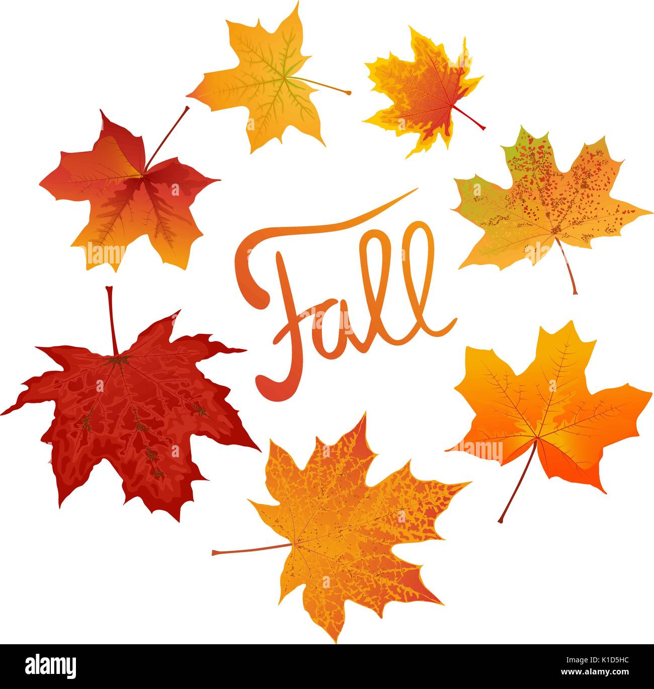 Herbst Schriftzug und Herbst farbige Ahorn Blätter Stock Vektor