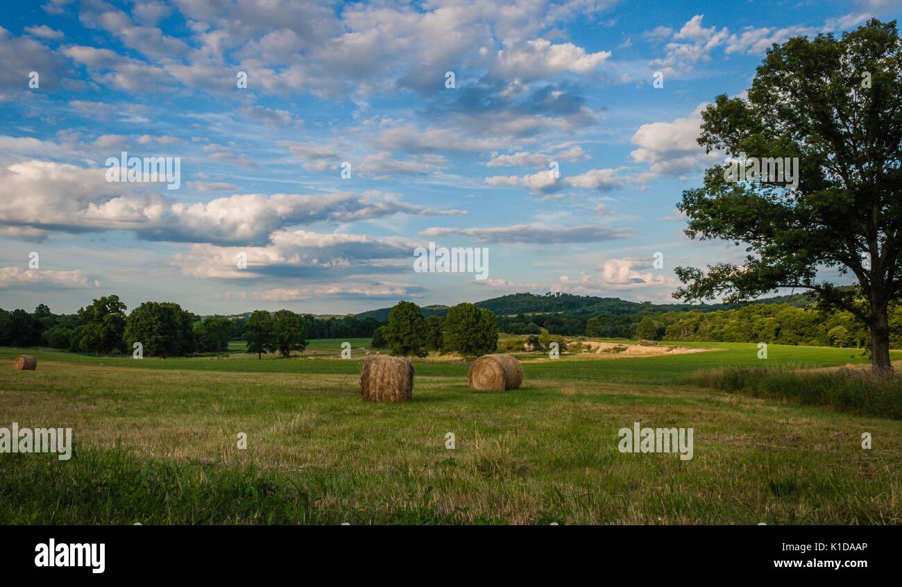 Frisch gerollten Ballen Heu zur Ernte bereit unter einem schönen Himmel mit Puffy clouds gefüllt Stockfoto