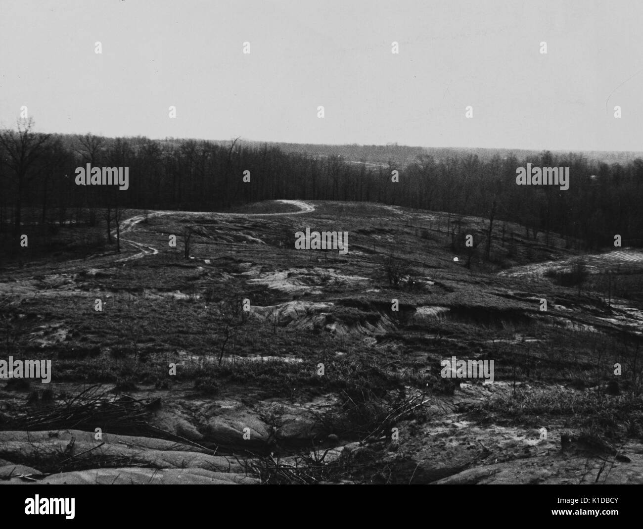 Die Erosion eines Feldes bei Natchez Trace-Projekt, in der Nähe der Lexington, Tennessee, 1936. Von der New York Public Library. Stockfoto