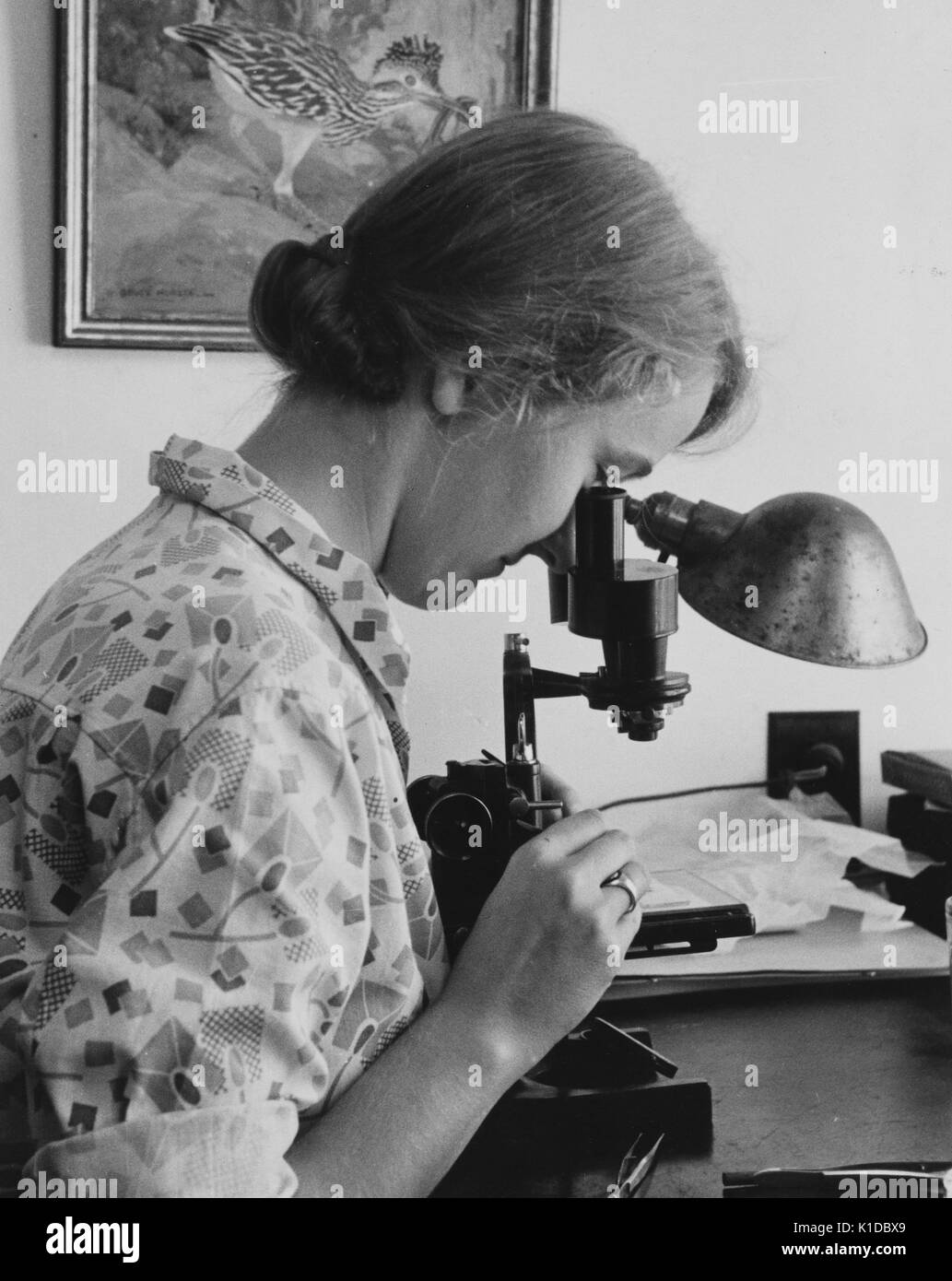 Arbeiterinnen, die ein Mikroskop benutzen, um eine Probe an der Abteilung für Landwirtschaft Experimental Farm, Beltsville, Maryland, 1935 zu untersuchen. Aus der New York Public Library. Stockfoto