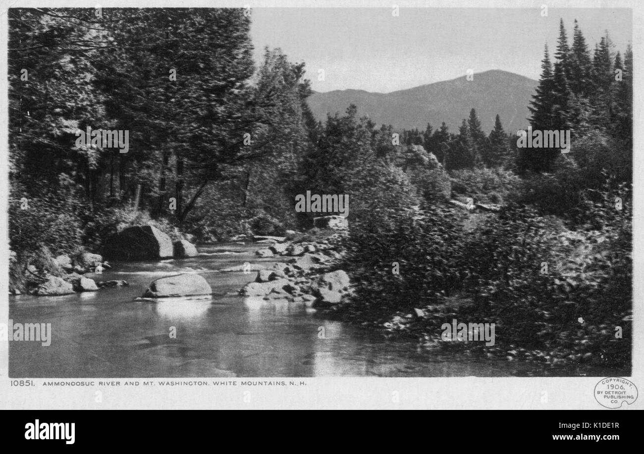 Eine Postkarte aus einem getönten Foto erstellt, zeigt eine Ansicht des Ammonooosuc River umgeben von Wald, Mountain Washington kann im Hintergrund gesehen werden, White Mountains, New Hampshire, 1906. Aus der New York Public Library. Stockfoto