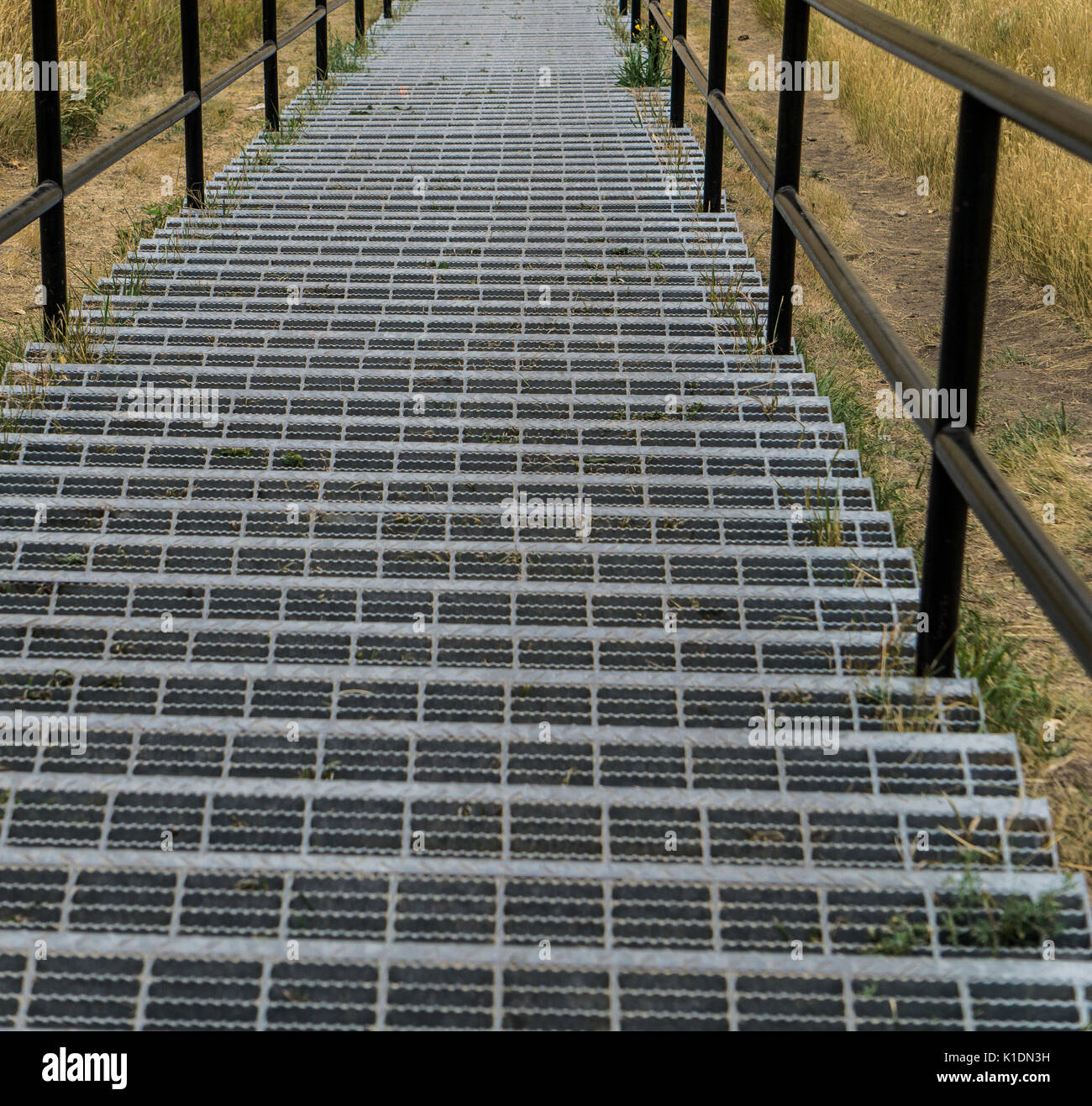 Treppe in Glenmore Park Calgary AB Stockfoto