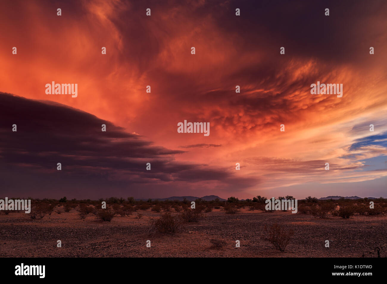 Farbenfrohe Mammatuswolken bei Sonnenuntergang in der Wüste von Arizona Stockfoto
