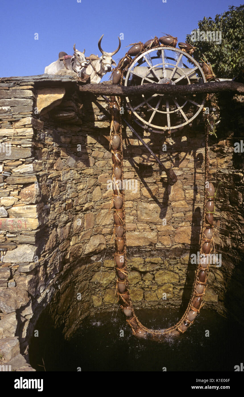 Persische Wasserrad, angetrieben von Farren, verwendet die nahen Felder zu bewässern, Rajasthan, Indien Stockfoto